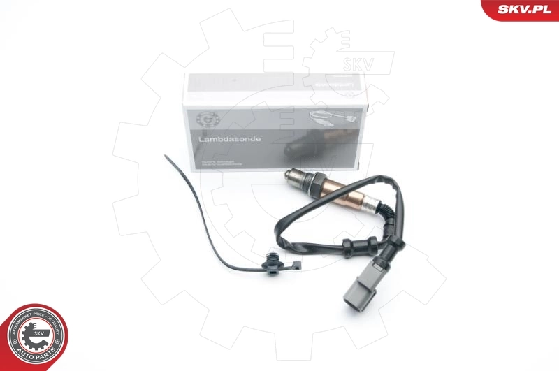 Oxygen Sensor